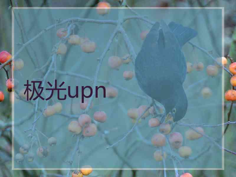 极光upn