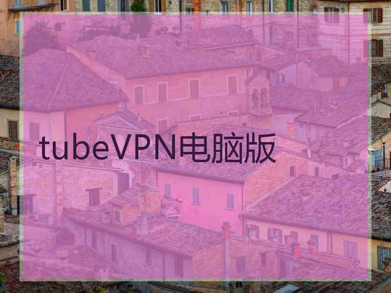 tubeVPN电脑版