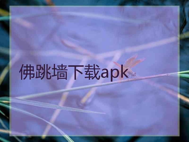 佛跳墙下载apk