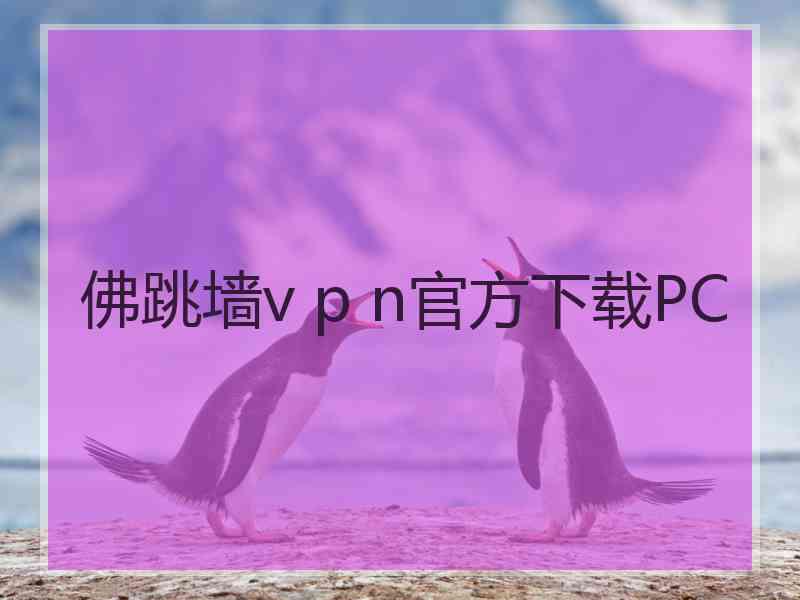 佛跳墙v p n官方下载PC