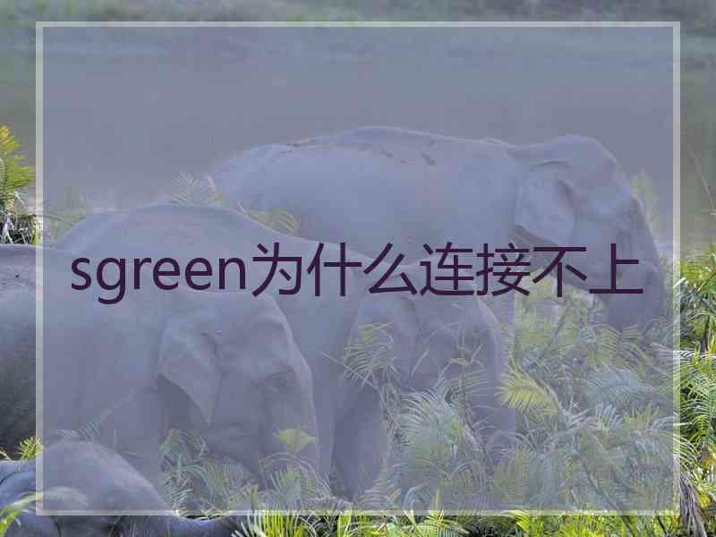 sgreen为什么连接不上