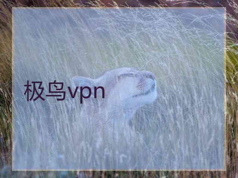 极鸟vpn