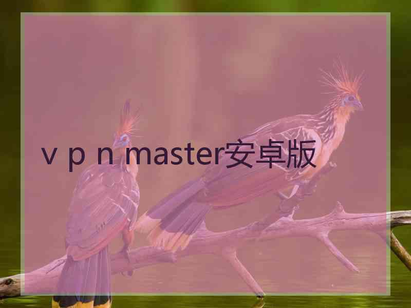 v p n master安卓版