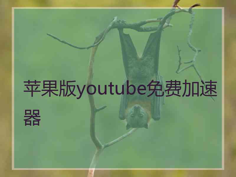 苹果版youtube免费加速器