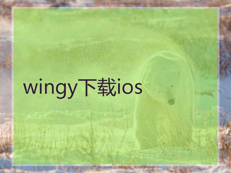 wingy下载ios