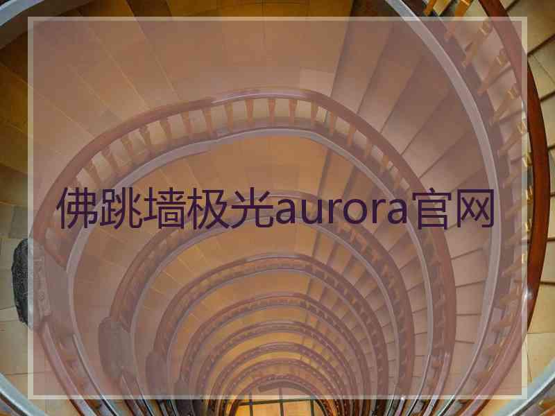 佛跳墙极光aurora官网