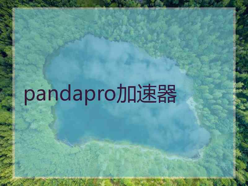 pandapro加速器