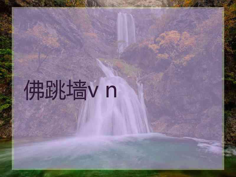 佛跳墙v n