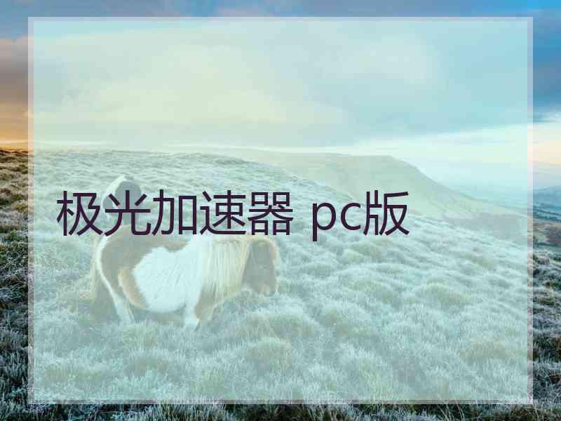 极光加速器 pc版