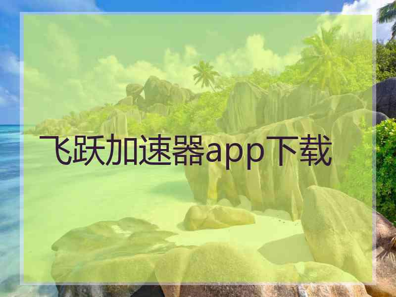 飞跃加速器app下载