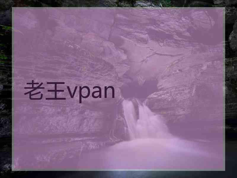 老王vpan