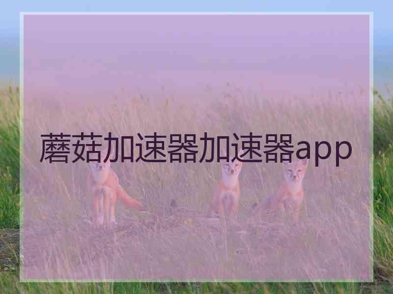 蘑菇加速器加速器app