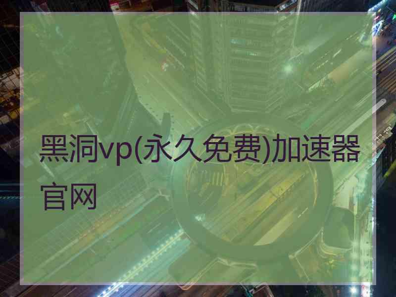 黑洞vp(永久免费)加速器官网