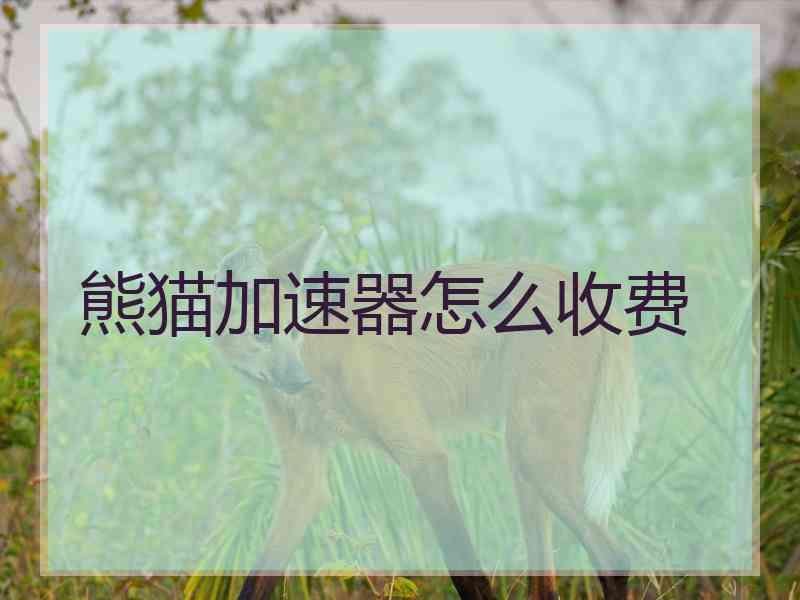 熊猫加速器怎么收费