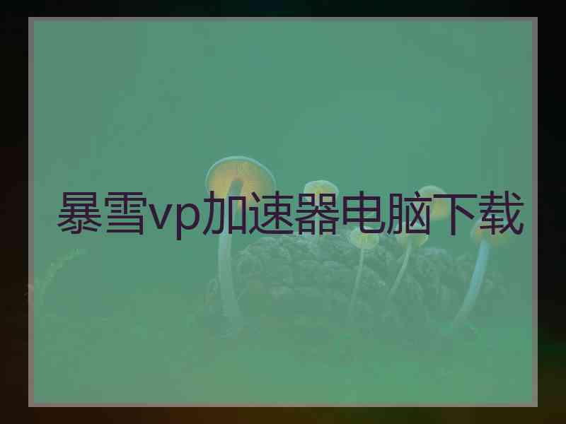 暴雪vp加速器电脑下载