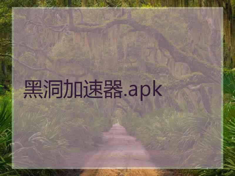 黑洞加速器.apk