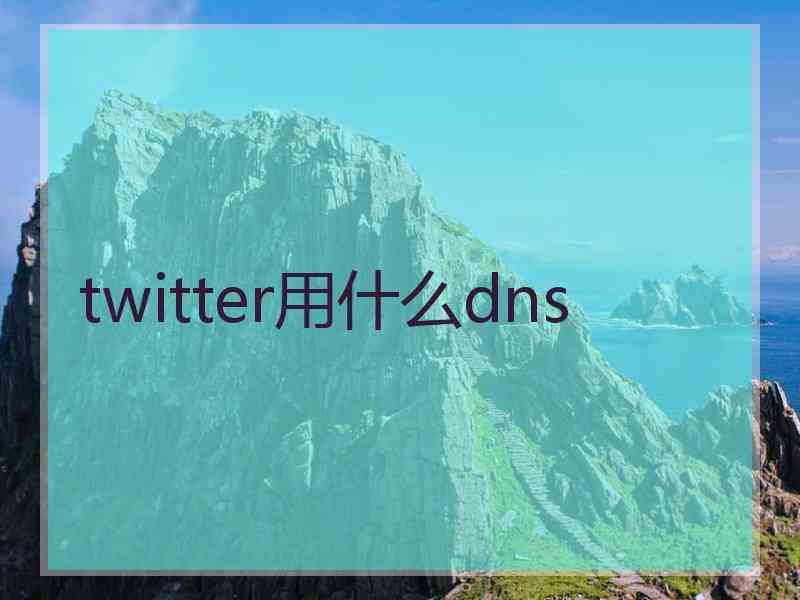 twitter用什么dns