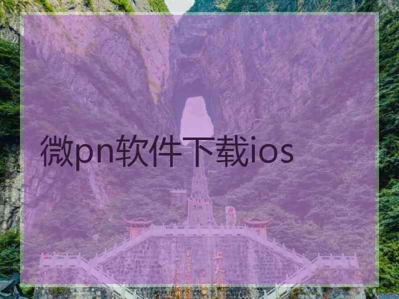 微pn软件下载ios