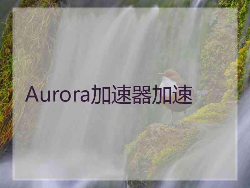 Aurora加速器加速