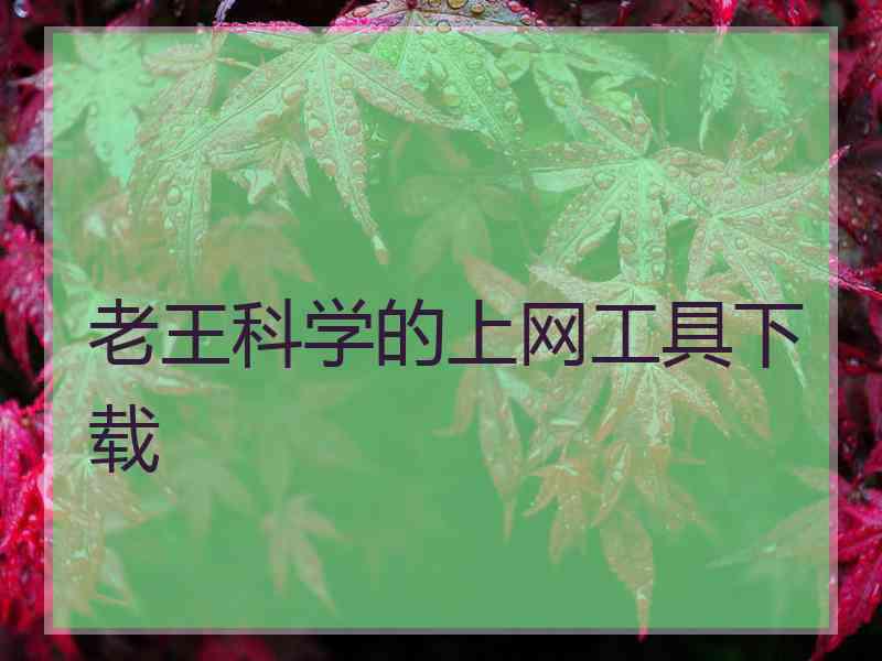 老王科学的上网工具下载