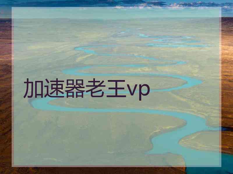 加速器老王vp