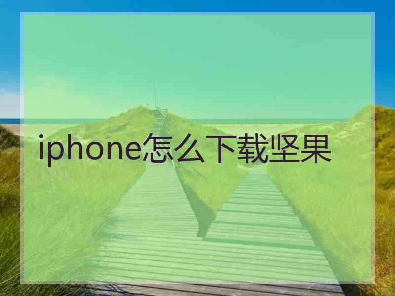 iphone怎么下载坚果