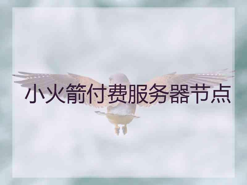 小火箭付费服务器节点