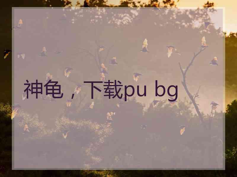 神龟，下载pu bg