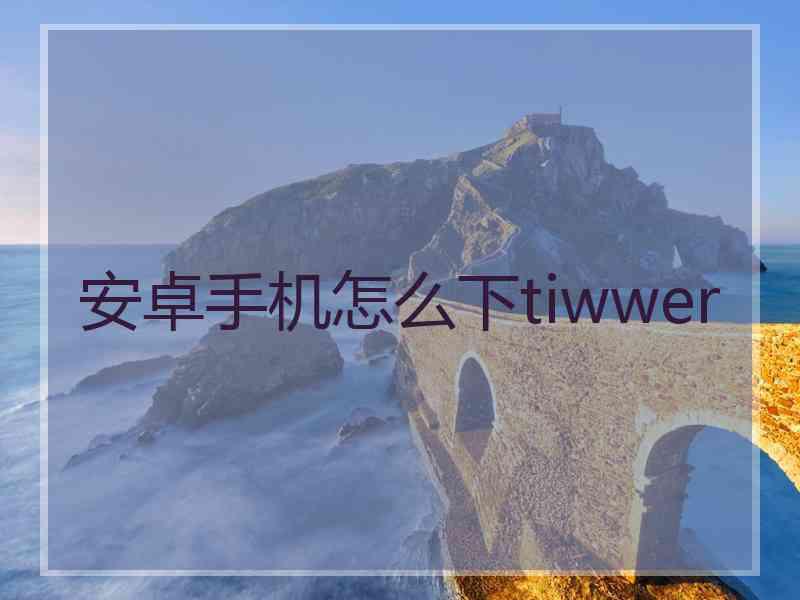 安卓手机怎么下tiwwer