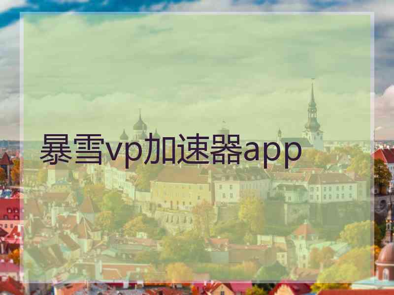 暴雪vp加速器app