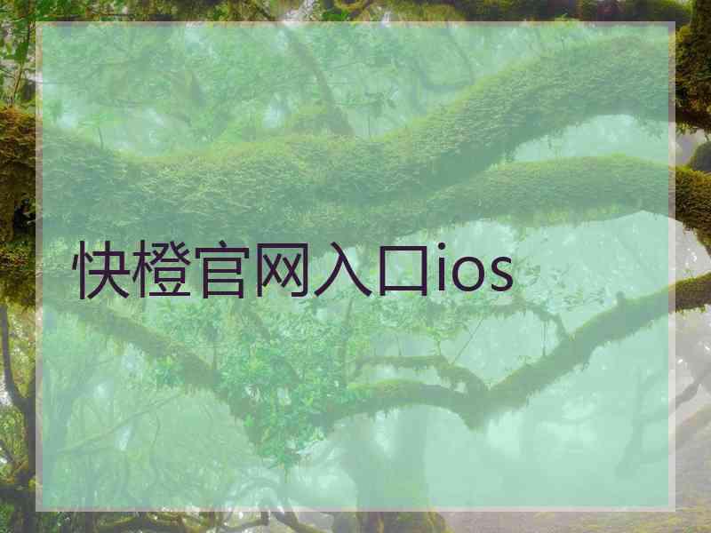 快橙官网入口ios